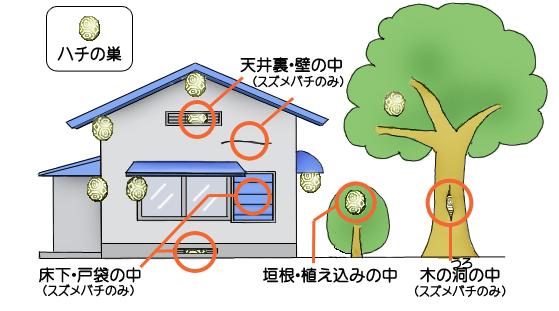 ハチの巣が作られやすい場所の図