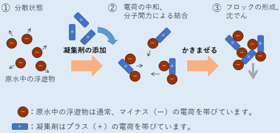 凝集沈殿の仕組みの図