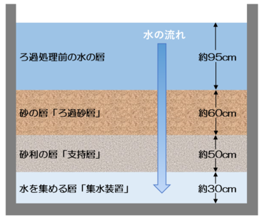 ろ過池の構造の断面図