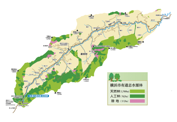 道志水源林の現況