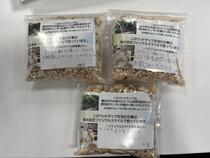 ウッドチップ