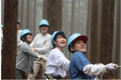 間伐の様子の写真