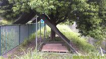 完成したヤギ小屋