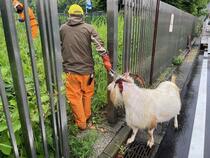 仕事場へ入場