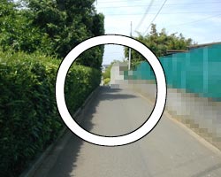 生け垣画像1
