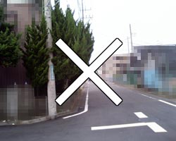 生け垣画像2