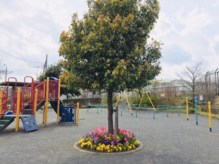 青砥公園の広場（遊具）