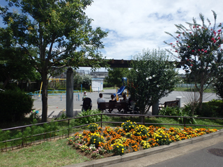青砥公園の広場（滑り台2）