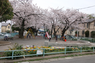 青砥第三公園の広場