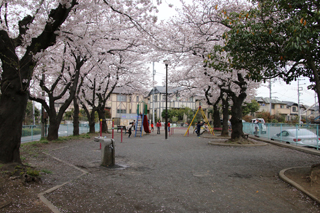 青砥第三公園の奥から