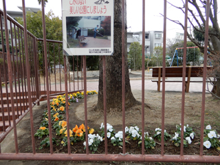 白山町高倉公園の花壇