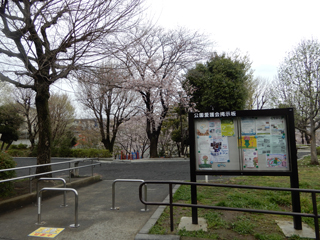白山町第一公園の広場
