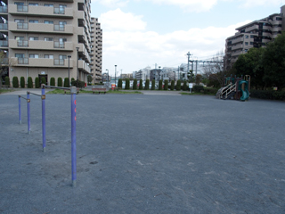 白山一丁目公園の広場