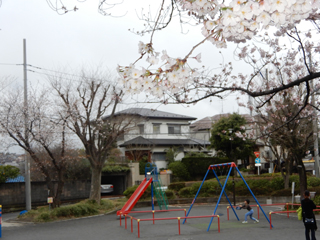 白山町第三公園　外観