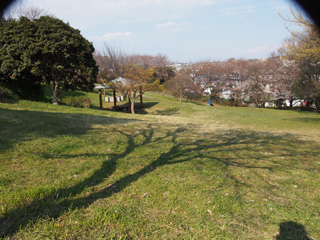 東本郷公園の広場