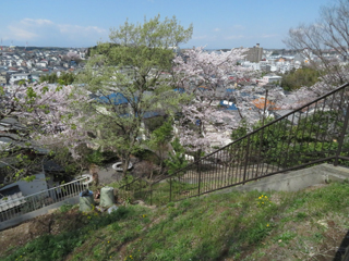 東本郷第一公園の階段