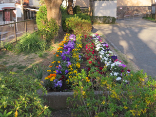 東本郷第二公園の花壇