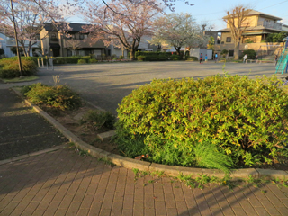東本郷第二公園の広場