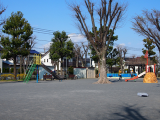 東本郷第三公園の広場
