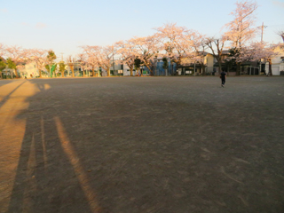 東本郷第三公園のグラウンド