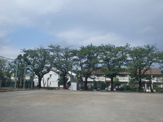 東本郷第三公園のグラウンド2