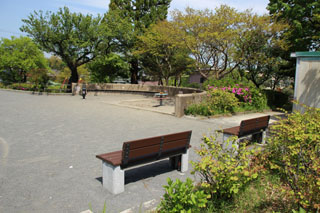 いぶき野第一公園のベンチ