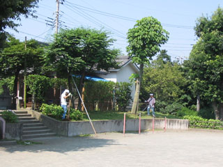 いぶき野第一公園の愛護会活動