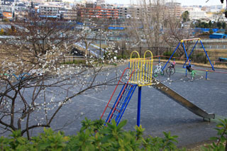 いぶき野第二公園の遊具