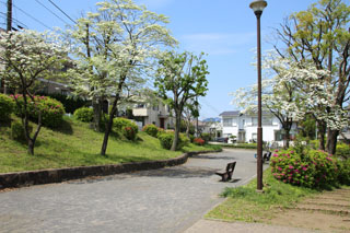 いぶき野第二公園の内観