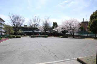 上山町南第二公園のグラウンド