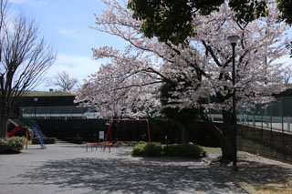 上山町南第二公園の広場
