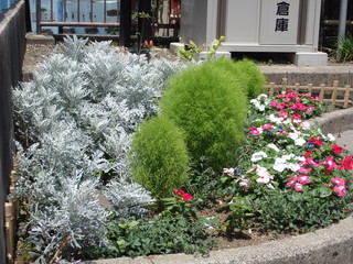 鴨居町北公園の花壇