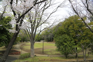 萱場公園の芝生広場（外観）