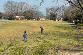 萱場公園の芝生広場2