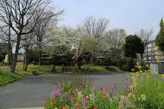 霧が池公園の花壇