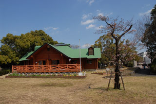 霧が丘公園のログハウスと梅
