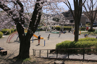 こざか第一公園の広場の眺望