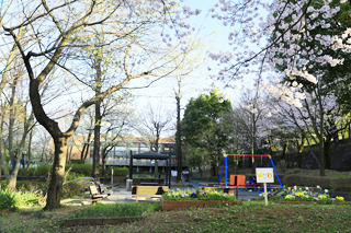 草木公園の全体