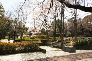 草木公園の階段と広場