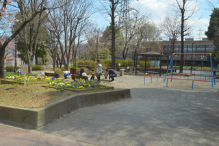 草木公園のブランコと広場