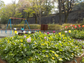 草木公園の花壇