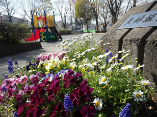 夫婦坂公園の花壇