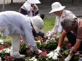 三保長谷戸公園の愛護会