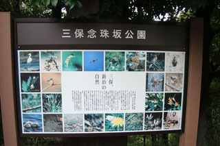 三保念珠坂公園の公園案内