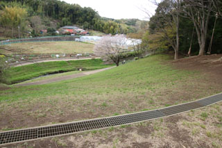 三保念珠坂公園の芝生広場