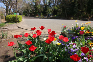 三保大上公園の花壇とグラウンド