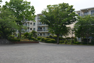 南長津田公園のグラウンド