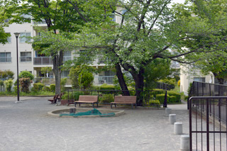 南長津田公園の砂場とベンチ