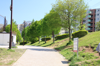 森の台中ノ谷公園の小道