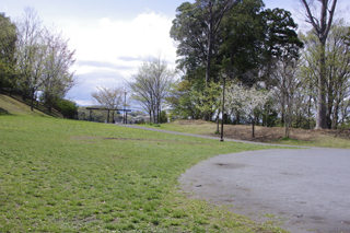 長津田みなみ台公園の広場